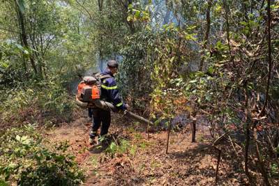Nghệ An: đã khống chế được vụ cháy rừng trên diện rộng