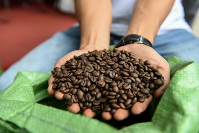 Giá cà phê hôm nay 1/5: tháng 4/2024 tăng sốc, thêm tới 35.000 đồng/kg