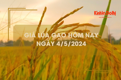 Giá lúa gạo hôm nay 4/5/2024: giá lúa tăng, giá gạo giảm 