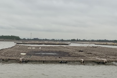 Hải Phòng: xử lý tình trạng nuôi trồng thủy sản trái phép trên sông Bạch Đằng