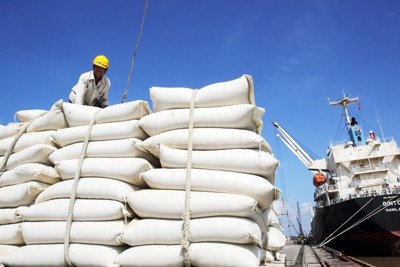 Để gạo Việt giữ vững phong độ ngành hàng tỷ USD