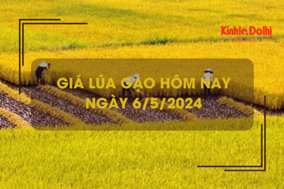 Giá lúa gạo hôm nay 6/5/2024: Giá gạo xuất khẩu bật tăng trở lại 