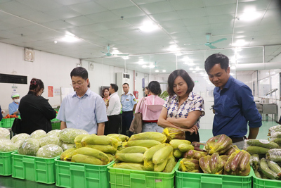 Hà Nội: xử phạt nhiều cơ sở vi phạm an toàn thực phẩm