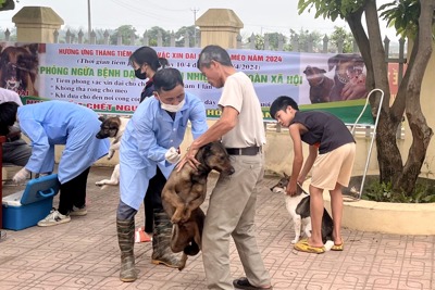 Hà Nội: không chủ quan với các nguy cơ từ bệnh dại