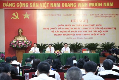 Phát huy vai trò của đội ngũ doanh nhân Việt Nam trong thời kỳ mới