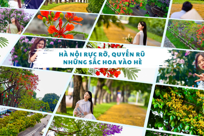 Hà Nội rực rỡ, quyến rũ những sắc hoa vào Hè