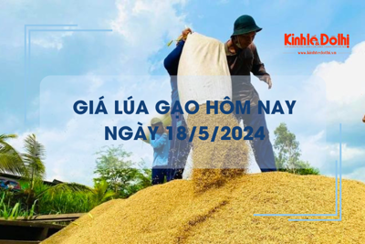 Giá lúa gạo hôm nay 18/5/2024: giá lúa tăng giảm trái chiều 