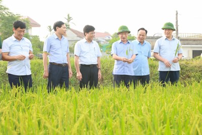 Nam Định: lãnh đạo tỉnh kiểm tra công trình đê điều trước mùa mưa lũ