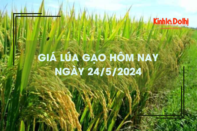 Giá lúa gạo hôm nay 24/5/2024: giá gạo bật tăng 4.000 đồng/kg 