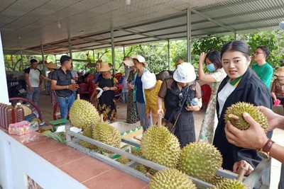 Lễ hội trái cây Long Khánh 2024 kết nối du lịch sinh thái miệt vườn