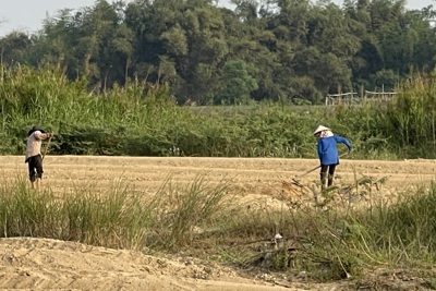 Quảng Ngãi: làm gì để "thúc" cơ giới hóa trong nông nghiệp?