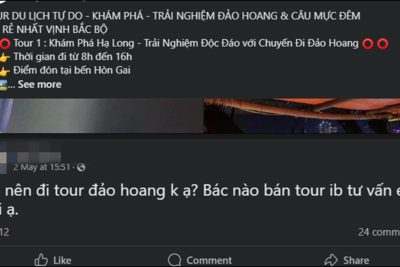 Xử lý các tour trải nghiệm tự phát mất an toàn trên Vịnh Hạ Long