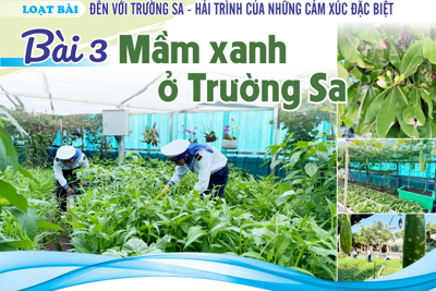 Bài 3: Mầm xanh ở Trường Sa