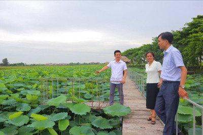 Huyện Sóc Sơn: hoàn thành kê khai sử dụng đất nông nghiệp trong quý III/2024