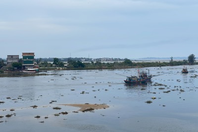 Quảng Ngãi: Luồng lạch cạn, hàng trăm tàu cá phải ly hương