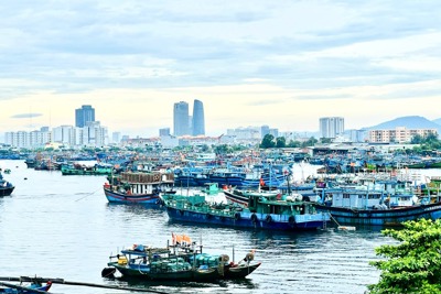 Đà Nẵng: cần giải pháp toàn diện cho cảng cá Thọ Quang