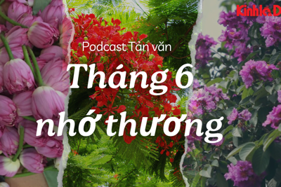 Tháng 6 nhớ thương 