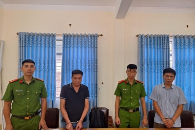 Nghệ An: bắt giữ Hiệu trưởng và kế toán trường học tại huyện Kỳ Sơn