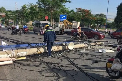 Thành phố Hồ Chí Minh: xe container kéo sập cột điện khiến hai người bị thương