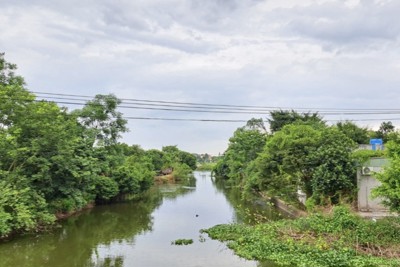 Thái Bình: nghi vấn con gái sát hại bố đẻ rồi tự tử