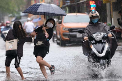 Dự báo thời tiết ngày 5/6/2024: Hà Nội mưa to, gió giật mạnh, trời mát