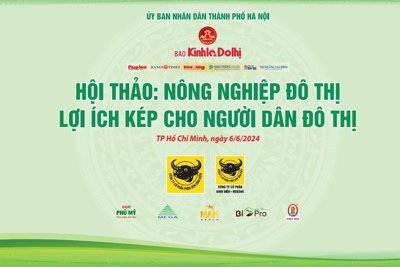 Nông nghiệp đô thị - lợi ích kép cho người dân đô thị