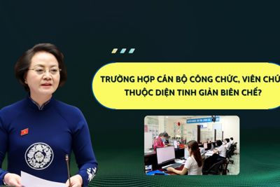 Trường hợp cán bộ công chức, viên chức thuộc diện tinh giản biên chế?