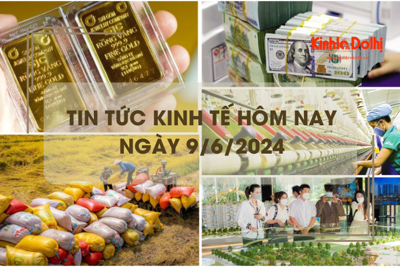 Tin tức kinh tế ngày 9/6/2024: kim ngạch xuất khẩu gạo đạt 2,7 tỷ USD