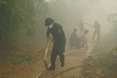 Vụ cháy tại Vườn quốc gia Tràm Chim cơ bản đã được dập tắt