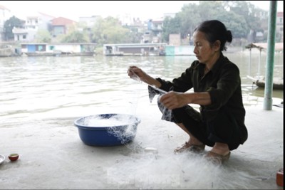 Bắc Giang: khẩn trương đưa làng chài "5 không" lên bờ