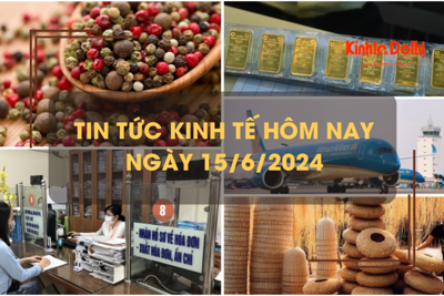 Tin tức kinh tế ngày 15/6/2024: dự báo giá tiêu sẽ đạt mốc 200.000 đồng/kg