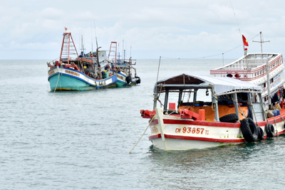 Một ngư dân Bạc Liêu mất tích trên vùng biển Cà Mau