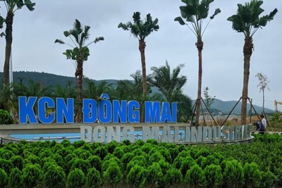 Quảng Ninh: nhiều công nhân bị ngạt khí ga