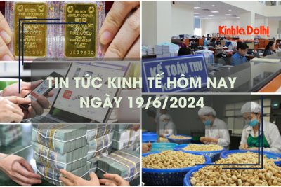 Tin tức kinh tế ngày 19/6/2024: giá hạt điều tăng kỷ lục