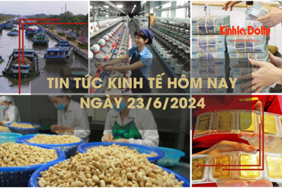 Tin tức kinh tế ngày 23/6/2024: thị trường Anh tăng mua hạt điều từ Việt Nam