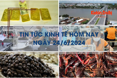 Tin tức kinh tế ngày 24/6/2024: kiểm soát, ngăn chặn việc nhập khẩu tôm hùm đất