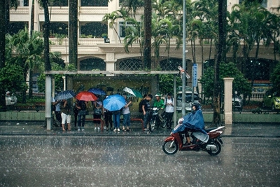 Dự báo thời tiết ngày 25/6/2024: Hà Nội nhiều mây, mưa vừa và dông, trời mát