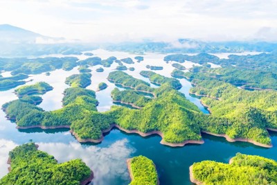 Vườn quốc gia Tà Đùng: điểm sáng trồng rừng 