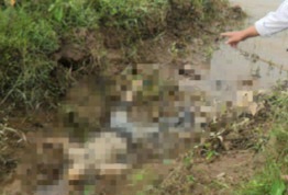 Phát hiện 1 thi thể người ở bãi giữa sông Hồng