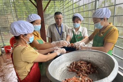 Huyện Chương Mỹ: tăng cường kiểm tra để không xảy ra ngộ độc thực phẩm