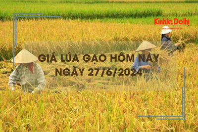 Giá lúa gạo hôm nay 27/6/2024: giá gạo xuất khẩu bất ngờ tăng nhẹ