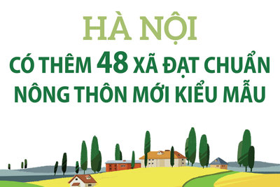 Hà Nội có thêm 48 xã nông thôn mới kiểu mẫu