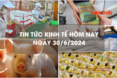 Tin tức kinh tế ngày 30/6/2024: Việt Nam chi gần 700 triệu USD để nhập khẩu gạo