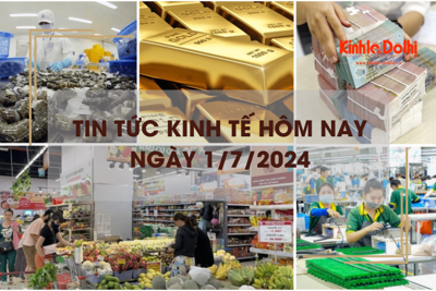 Tin tức kinh tế ngày 1/7/2024: tiêu dùng trong nước phục hồi nhưng tăng trưởng thấp