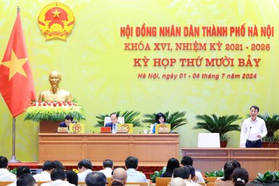 Chỉ số cải cách hành chính, kỷ luật công vụ "làm nóng" nghị trường HĐND TP