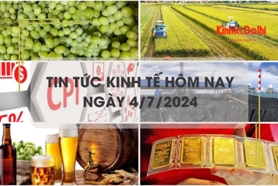 Tin tức kinh tế ngày 4/7/2024: Việt Nam đã chi 158,4 triệu USD nhập khẩu nho