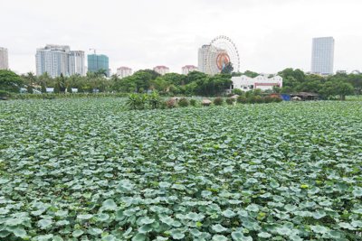 “Tài sản” của người Hà Nội