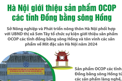 Hà Nội giới thiệu sản phẩm OCOP các tỉnh Đồng bằng sông Hồng