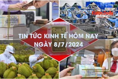 Tin tức kinh tế ngày 8/7/2024: huy động vốn có thể tăng hơn 10% trong năm nay