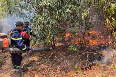 Nghệ An: cảnh báo nguy cơ cháy rừng cấp cực kỳ nguy hiểm